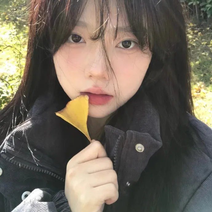 异形庇护所第一季
